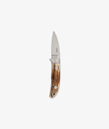 Coltello Mammut