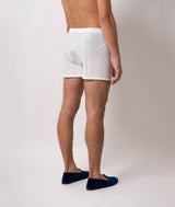 Boxer Baia