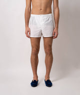 Boxer Baia