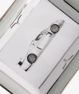 Svuotatasche MC12