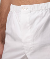 Boxer Baia