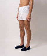 Boxer Baia