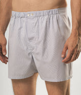 Boxer Baia