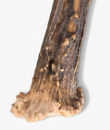 Apribottiglie Cedrata