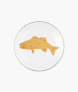 Piatto Cyprinus Carpio