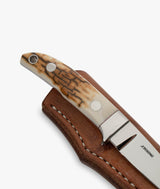 Coltello Mammut