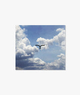Compilation Larus