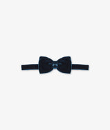 Papillon George