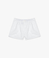 Boxer Baia