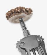 Cavatappi Nebbiolo